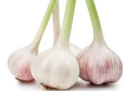 ail blanc frais 250g